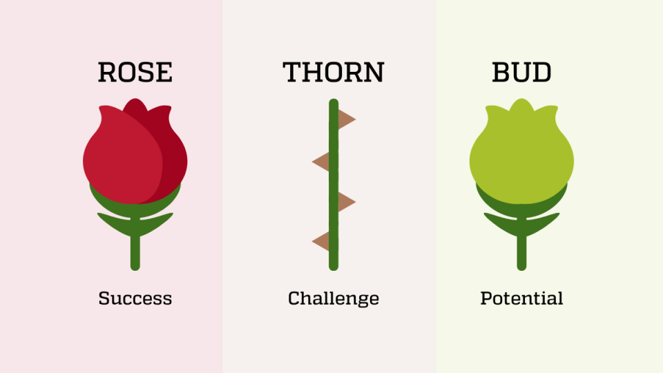 Rose-Thorn-Bud visual to use with teams when sharing a success, challenge and opportunity